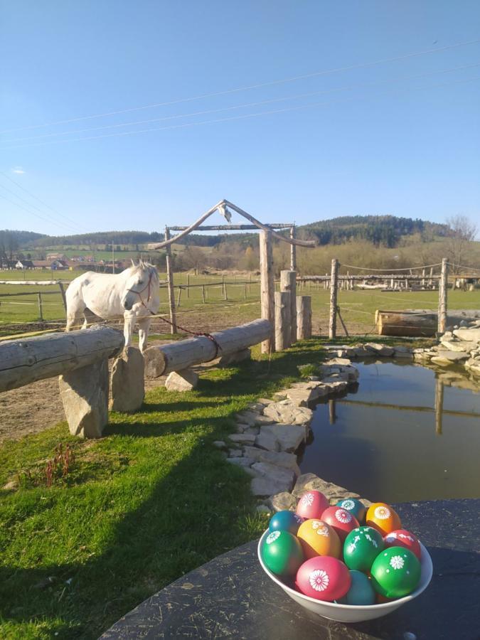 Podkrovní apartmán Pololáň u rybníka Nová Ves Exterior foto